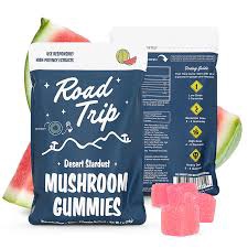 ROAD TRIP DESSERT STARDUST MUSHROOM GUMMIES 8CT / Watermelon